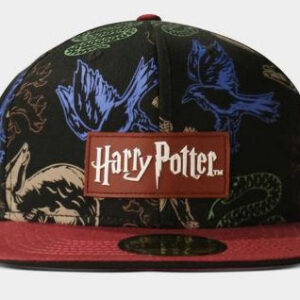 Cappellino Harry Potter multi-color